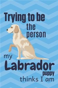 Trying to be the person my Labrador Puppy thinks I am