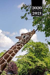 Giraffe Safari Week Planner Weekly Organizer Calendar 2020 / 2021 - Long Tongue