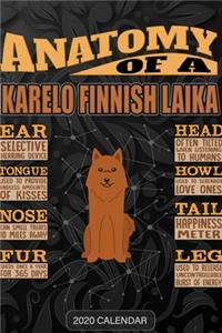 Anatomy Of A Karelo Finnish Laika
