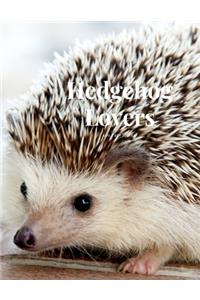 Hedgehog Lovers 100 page Journal