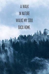 A Walk In Nature Walks My Soul Back Home.