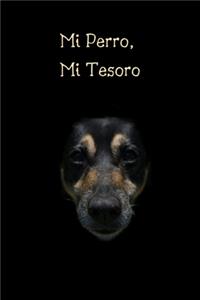Mi Perro, Mi Tesoro