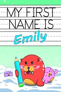 My First Name is Emily