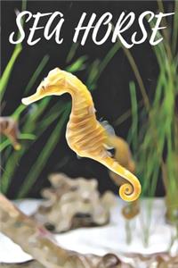 Sea Horse Notebook