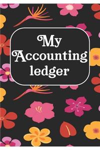 My Accounting Ledger
