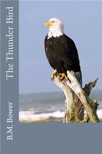 The Thunder Bird