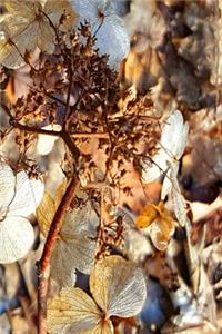 Dried Up Hydrangea Blooms 2019 Weekly Planner 134 Pages