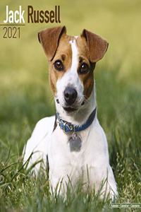 Jack Russell 2021 Wall Calendar