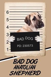 Bad Dog Anatolian Shepherd: Beer Tasting Journal Rate and Record Your Favorite Beers Collect Beer Name, Brewer, Origin, Date, Sampled, Rating, STATS ABV Ibu Og Tg Srm, Price, C