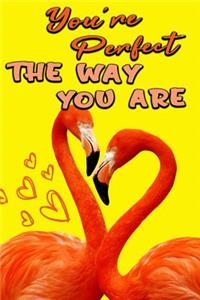 You Are Perfect the Way You Are