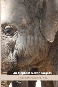 Elephant Never Forgets