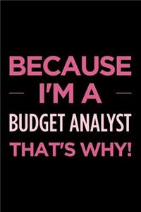 Because I'm a Budget Analyst That's Why