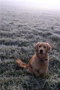 Golden Retriever in a Frosty Meadow Journal
