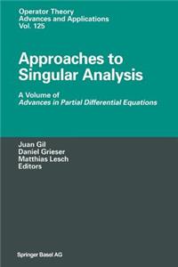 Approaches to Singular Analysis: A Volume of Advances in Partial Differential Equations