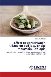 Effect of Conservation Tillage on Soil Loss, Choke Mountain, Ethiopia