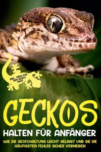 Geckos halten für Anfänger