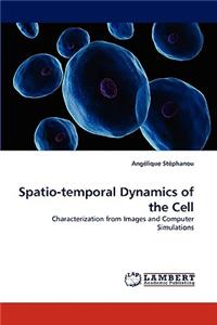 Spatio-Temporal Dynamics of the Cell