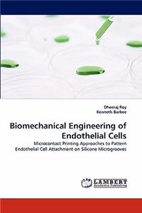 Biomechanical Engineering of Endothelial Cells