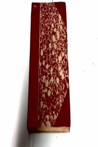 Le vent dans la nuit