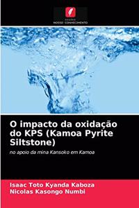 O impacto da oxidação do KPS (Kamoa Pyrite Siltstone)