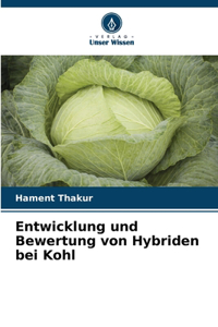Entwicklung und Bewertung von Hybriden bei Kohl