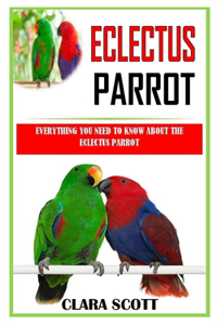 Eclectus Parrot