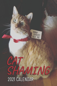 Shaming Cat