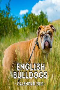 English Bulldogs