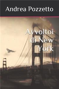 Avvoltoi di New York