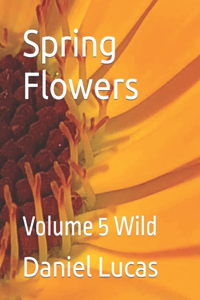 Spring Flowers