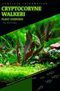 Cryptocoryne Walkeri