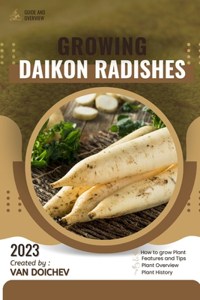 Daikon Radishes