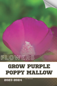Grow Purple Poppy Mallow