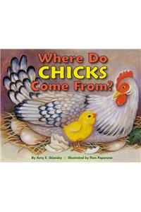 From Egg to Chick