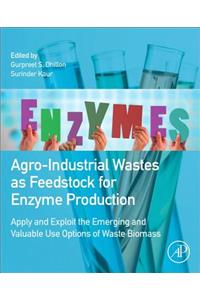 Agro-Industrial Wastes as Feedstock for Enzyme Production