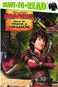 How to Track a Dragon (How to Train Your Dragon TV)