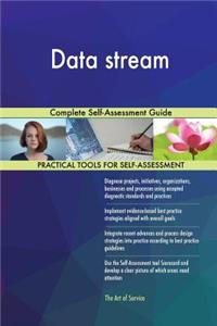 Data stream Complete Self-Assessment Guide