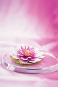 Memo Block (Waterlily)
