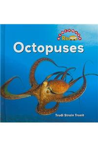 Octopuses