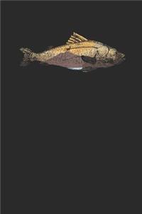 River In Fish