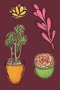 Succulents