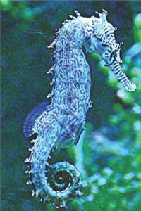 Blue Seahorse Journal