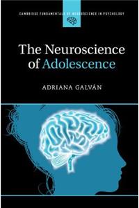 Neuroscience of Adolescence