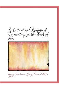 A Critical and Exegetical Commentary on the Book of Job,