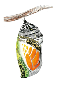 Transform your Psyche -Your Journal to Self-Discovery