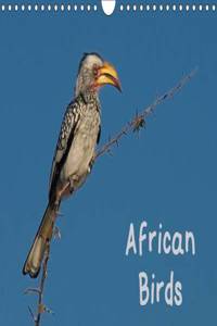African Birds (UK-Version) 2015