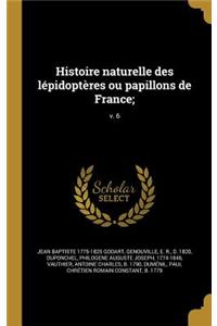 Histoire naturelle des lépidoptères ou papillons de France;; v. 6