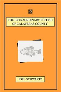 The Extraordinary Pupfish of Calaveras County