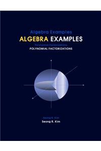 Algebra Examples Polynomial Factorizations