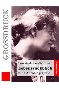 Lebensrückblick (Großdruck)